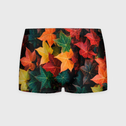 Мужские трусы 3D Осенние листья винограда 