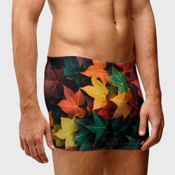 Мужские трусы 3D Осенние листья винограда  - фото 2