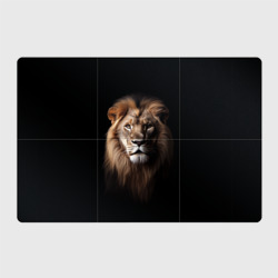 Магнитный плакат 3Х2 Mufasa