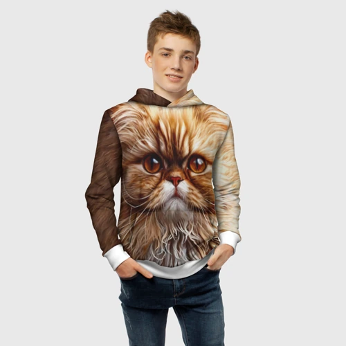 Детская толстовка 3D с принтом Персидский кот, фото #4