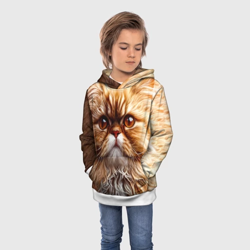 Детская толстовка 3D с принтом Персидский кот, фото на моделе #1