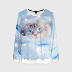 Женский свитшот 3D Пушистая белая кошка с голубыми глазами