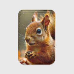 Картхолдер Magsafe магнитный Большая белочка