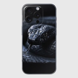 Чехол для iPhone 16 Pro Max силиконовый с защитой камеры Черная изящная змея 
