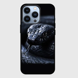 Чехол для iPhone 13 Pro Черная изящная змея 