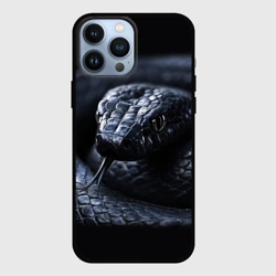 Чехол для iPhone 13 Pro Max Черная изящная змея 