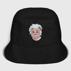 Мужская панама хлопок Свин арт