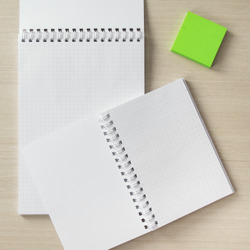 Блокнот Фрирен в летнем лесу - фото 2