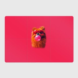 Магнитный плакат 3Х2 Шпиц с жевачкой в очках