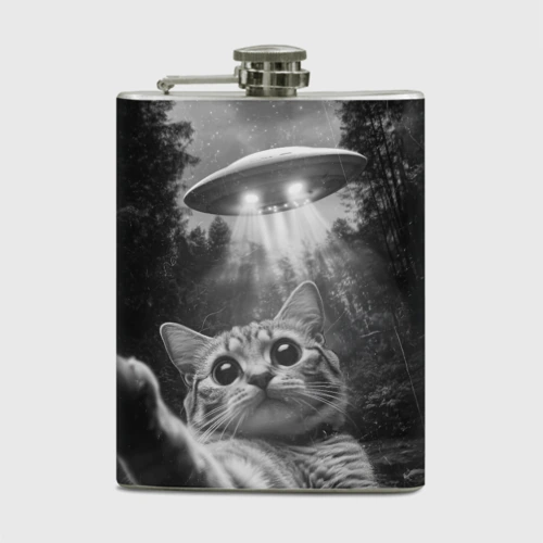 Фляга Котик и НЛО