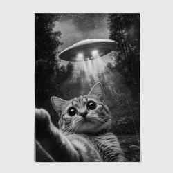 Постер Котик и НЛО
