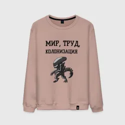 Мужской свитшот хлопок Мир труд колонизация