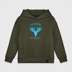 Детское худи Oversize хлопок Veil Jumpers - Dragon Age 