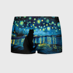 Мужские трусы 3D Звездная ночь над Роной и кот - Ван Гог