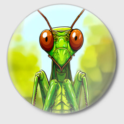 Значок Голова богомола