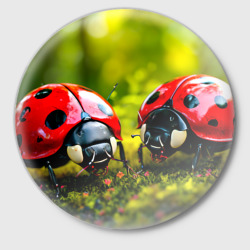 Значок Две божьи коровки