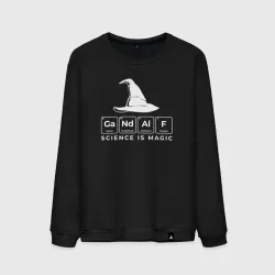 Мужской свитшот хлопок Gendalf science is magic