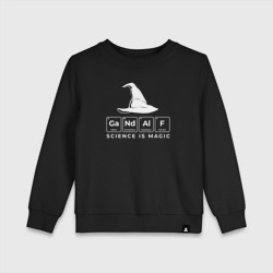 Детский свитшот хлопок Gendalf science is magic