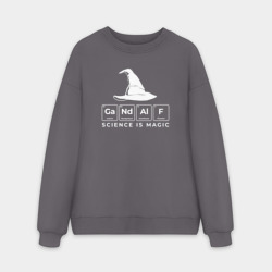 Мужской свитшот oversize без начеса хлопок Gendalf science is magic