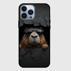Чехол для iPhone 13 Pro Max Капибара в стене