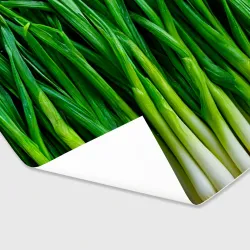Бумага для упаковки 3D Зеленый лук - фото 2