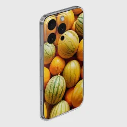 Чехол для iPhone 16 Pro силиконовый с защитой камеры Дыньки - фото 2