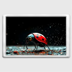 Магнит 45*70 Божья коровка на черном
