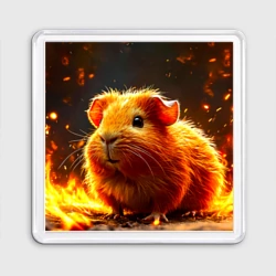 Магнит 55*55 Морская свинка в огне