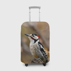 Чехол для чемодана 3D Дятел в лесу