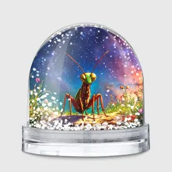 Игрушка Снежный шар Богомол и звездное небо