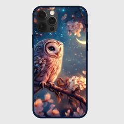 Чехол для iPhone 12 Pro Сова и месяц