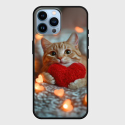 Чехол для iPhone 14 Pro Max Рыжий кот держит сердечко