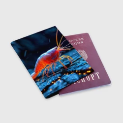Обложка для паспорта матовая кожа Креветка на дне - фото 2