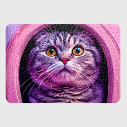 Картхолдер с принтом Шотландская вислоухая кошка - фото 2