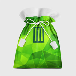 Подарочный 3D мешок Paramore green poly