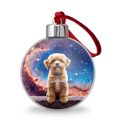 Ёлочный шар Мальтипу в космосе