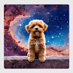 Магнитный плакат 3Х3 Мальтипу в космосе