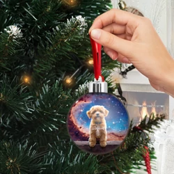 Ёлочный шар Мальтипу в космосе - фото 2