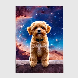 Постер Мальтипу в космосе