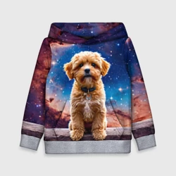 Детская толстовка 3D Мальтипу в космосе