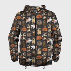 Мужская ветровка 3D Забавные пёсики