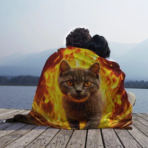 Плед 3D с принтом Британская короткошёрстная кошка в огне, вид сбоку #3