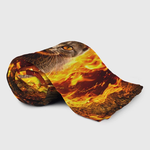 Плед 3D с принтом Британская короткошёрстная кошка в огне, фото на моделе #1