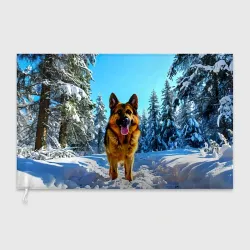 Флаг 3D Немецкая овчарка в лесу зимой