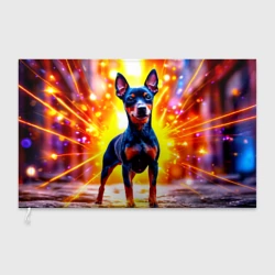 Флаг 3D Пинчер в лучах