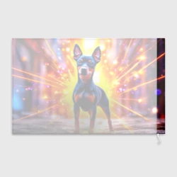 Флаг 3D Пинчер в лучах - фото 2