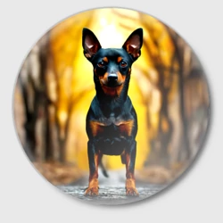 Значок Пинчер 