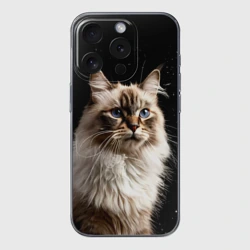 Чехол для iPhone 15 Pro Max силиконовый с защитой камеры Невская маскарадная кошка на черном