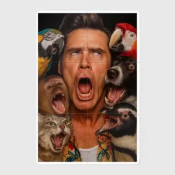 Магнитный плакат 2Х3 Pet Detective - Ace Ventura