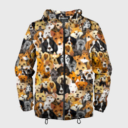 Мужская ветровка 3D Собаки разных пород